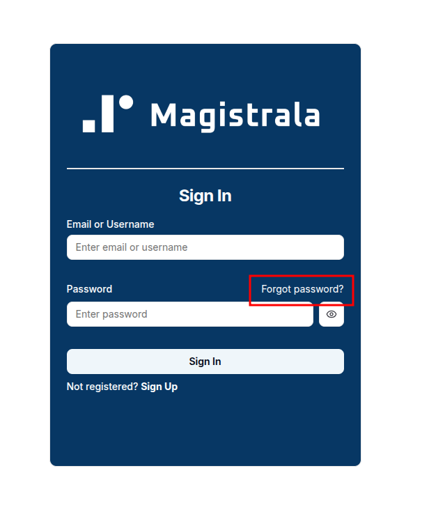 Forgot Password Link